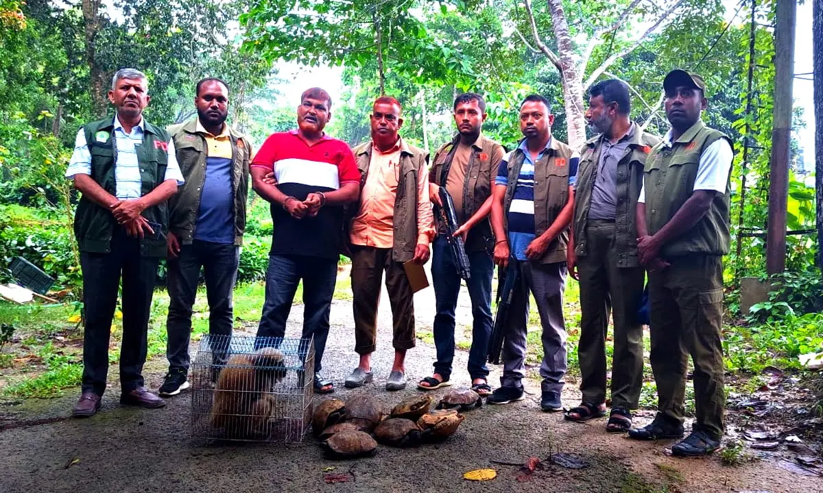 পাচারের আগে হনুমান ও ১২ কচ্ছপ উদ্ধার, আটক ১