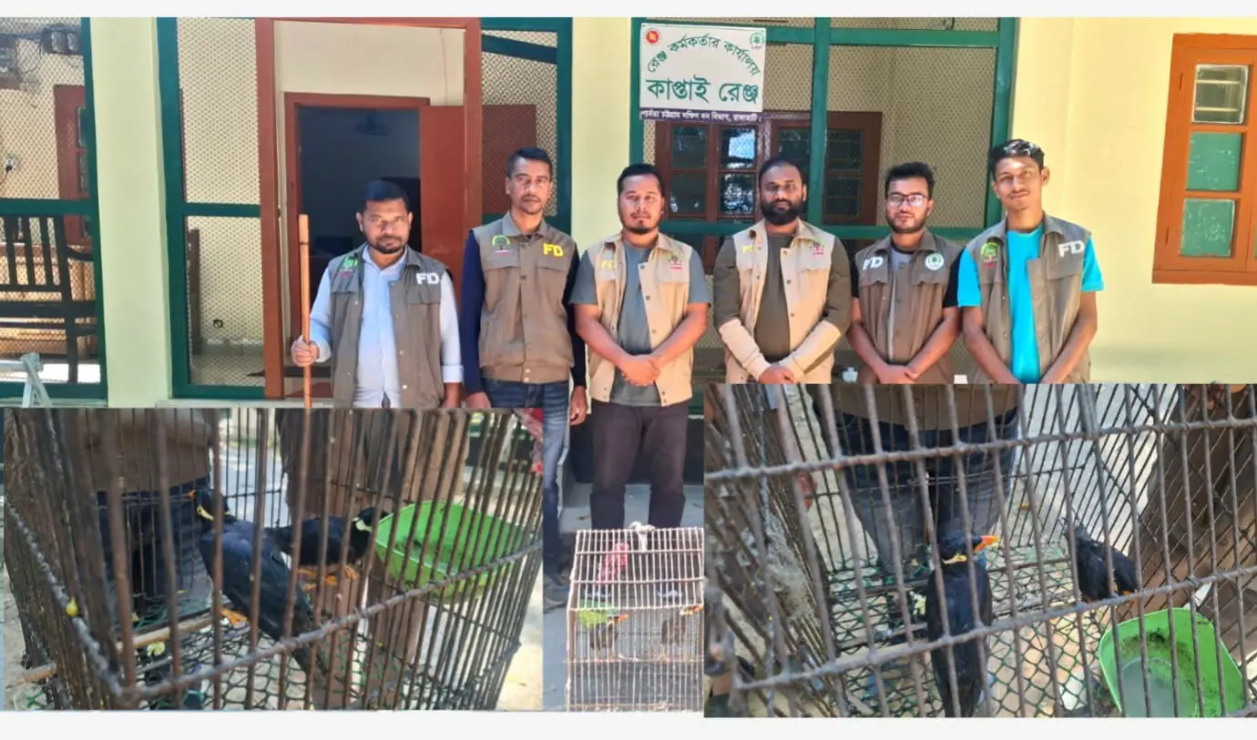 কাপ্তাই জাতীয় উদ্যানে বন্য পাখি পাচার রোধে বন বিভাগের অভিযান: দুইটি ময়না পাখি উদ্ধার