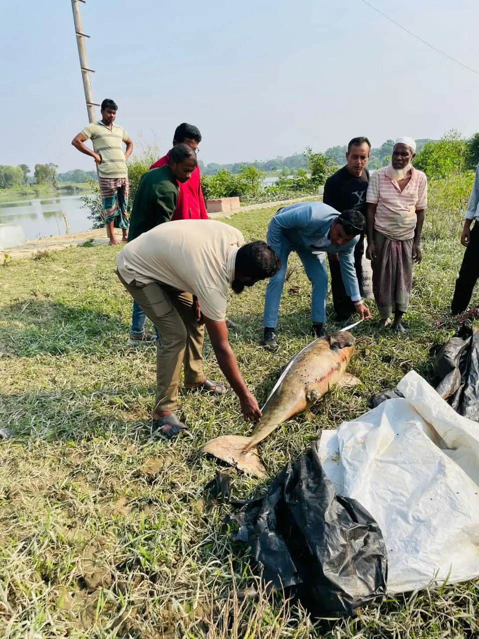 হালদায় মরে ভেসে উঠলো ৪৬ কেজি ওজনের শুশুক