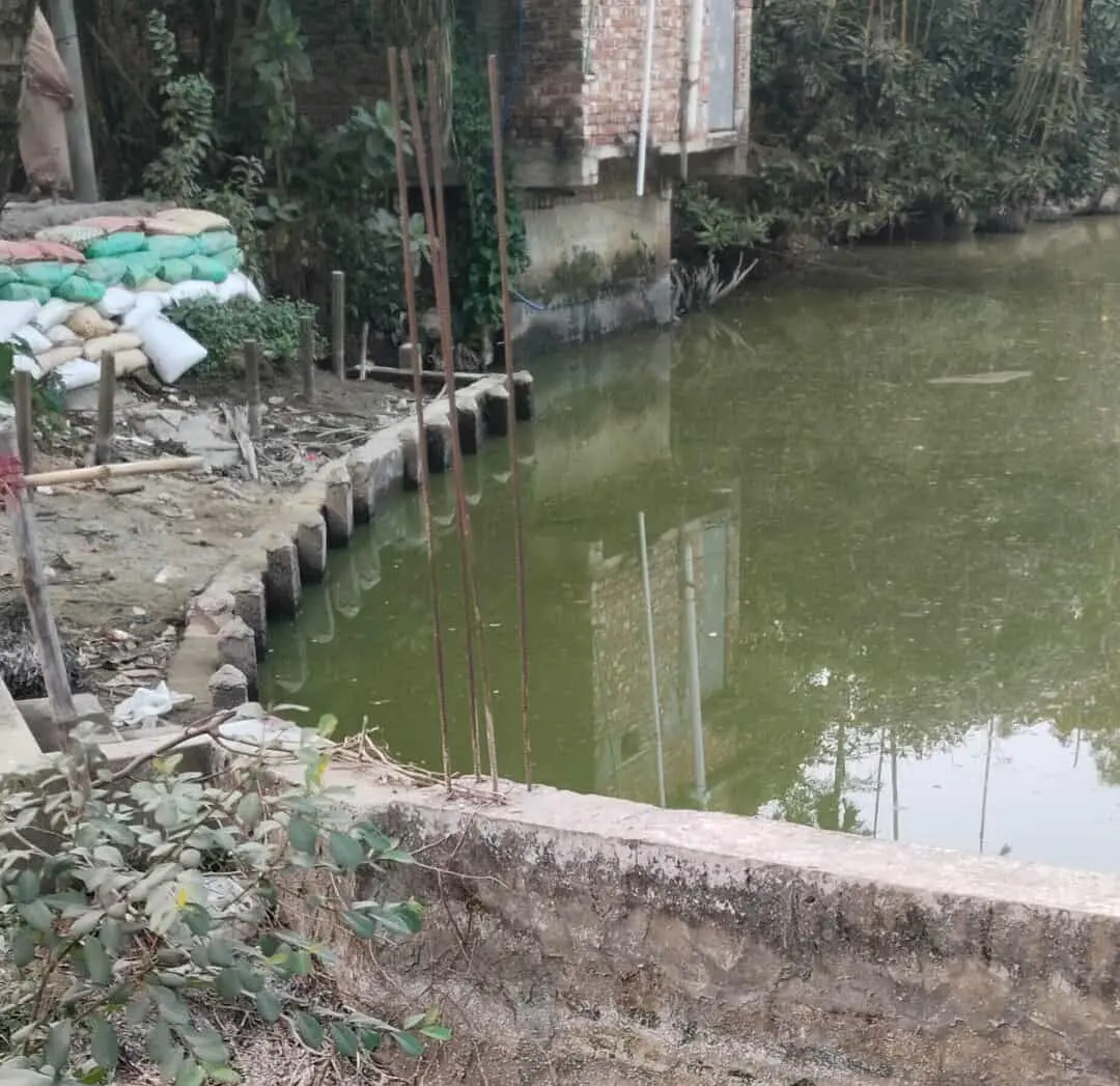 আনোয়ারায় পুকুরে ডুবে দুই বছরের শিশুর মর্মান্তিক মৃত্যু