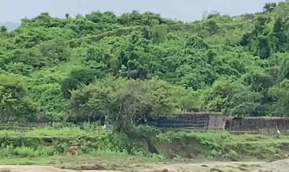 সীমান্তে মিয়ানমারের ভেতরে বিকট বিস্ফোরণ, কাঁপছে নাইক্ষ্যংছড়ি ও টেকনাফ