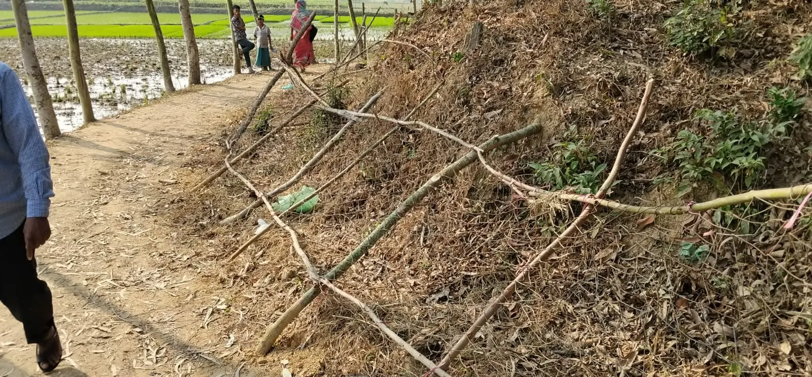 বাঁশখালীতে ৩ লাখ টাকা চাঁদার দাবিতে শিক্ষকের বাগানবাড়ি ভাঙচুর