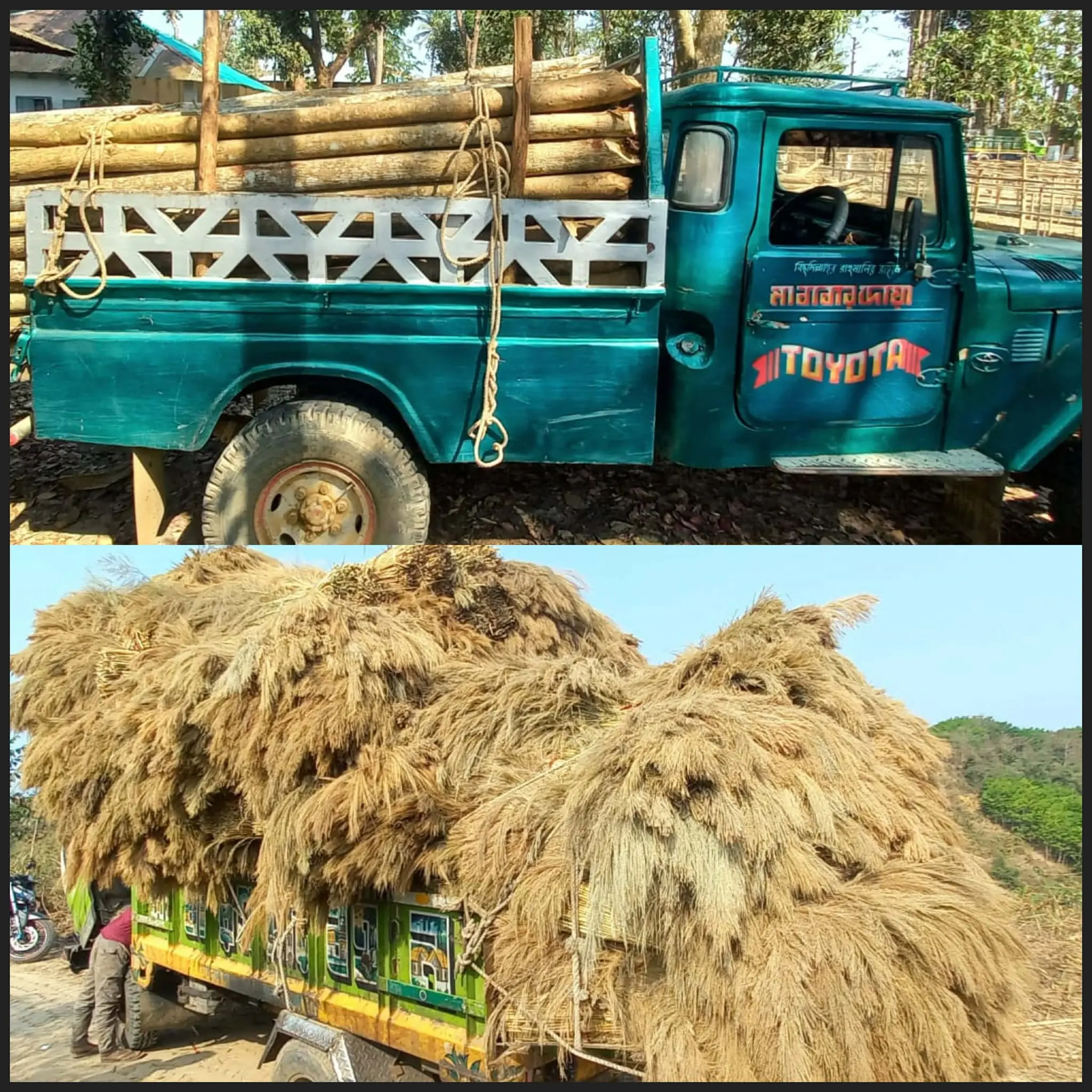 রাফি-উদ-দৌলা সরদারের নেতৃত্বে টংকাবতী রেঞ্জে টানা অভিযান: এক সপ্তাহে ২ গাড়িসহ বনজদ্রব্য জব্দ