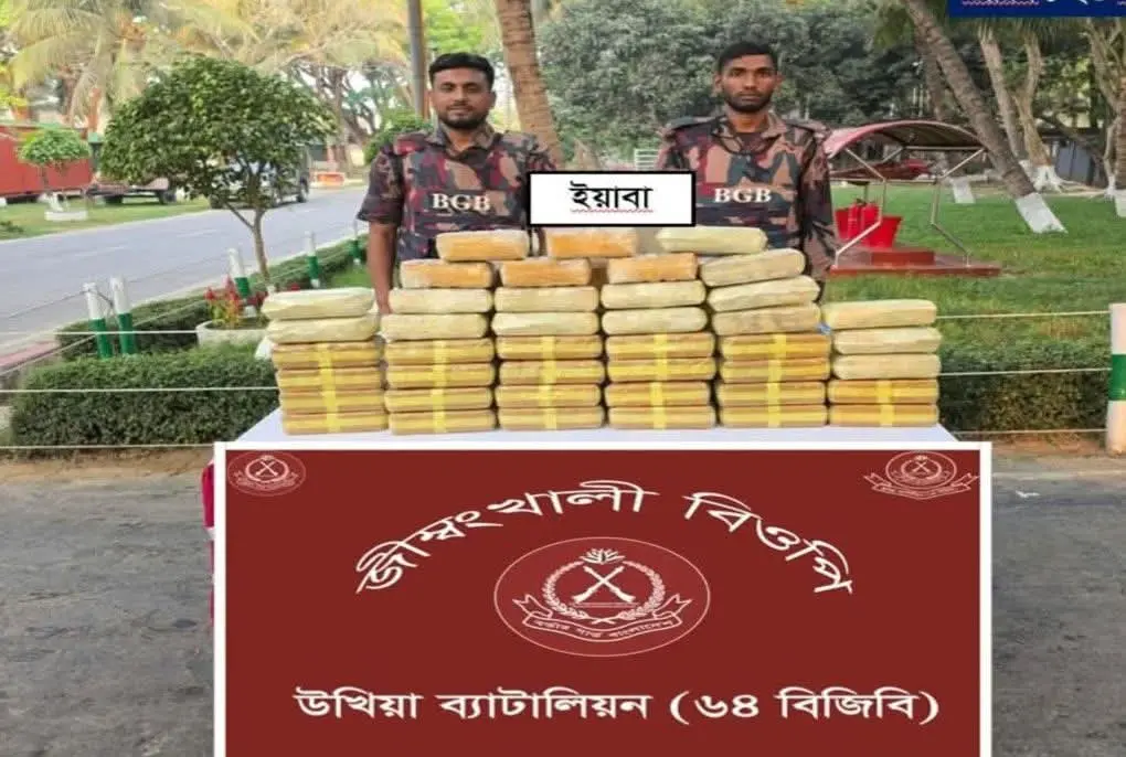 কক্সবাজার সীমান্তবর্তী এলাকায় ৪ লক্ষ ২০ হাজার পিস ইয়াবা উদ্ধার করল ৬৪ বিজিবি