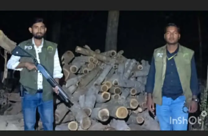 রামুর ঈদগড় বিট কর্মকর্তা আমিনুল ইসলাম মিয়াজীর নেতৃত্বে বিপুল পরিমান কাঠ উদ্ধার