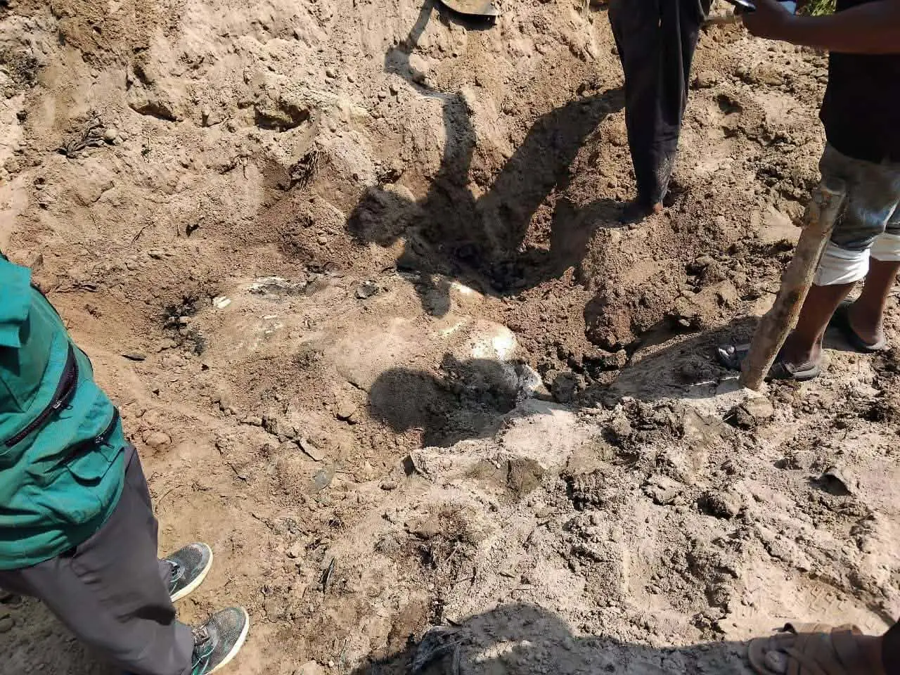 বনের ভেতরে হাতি গুম! এক মাস পর ফাঁস মাটিচাপা দিয়ে লুকানোর চেষ্টা ব্যর্থ