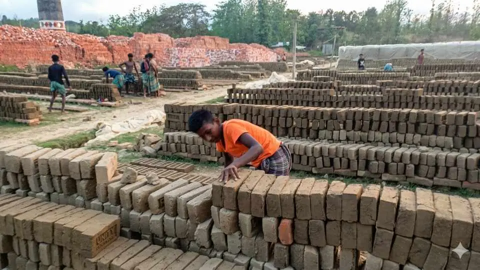 আলীকদমে পাহাড় কেটে অবৈধ ইটভাটা, ঝুঁকিপূর্ণ কাজে শিশুশ্রম