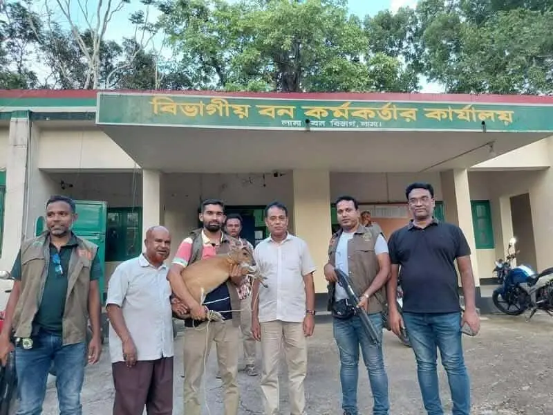 লামায় মায়া হরিণ উদ্ধার