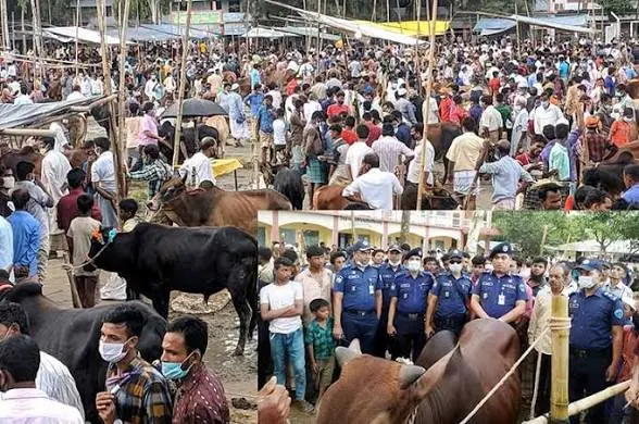 স্কুলমাঠে অস্থায়ী পশুর হাটের ইজারা বিজ্ঞপ্তি নিয়ে বিতর্ক, প্রশ্নের মুখে চকরিয়া উপজেলা প্রশাসন