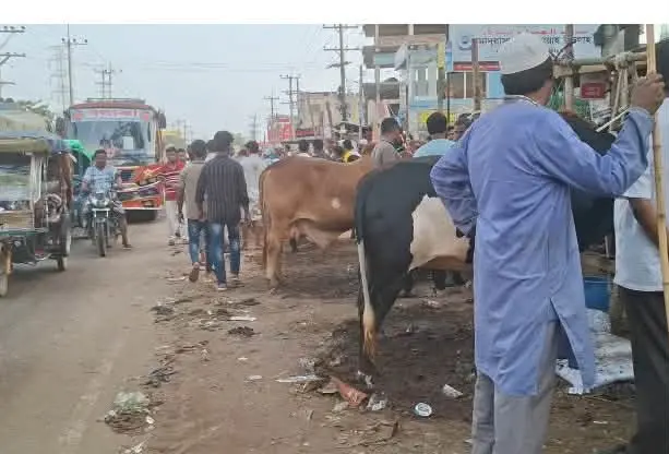 স্বরাষ্ট্র মন্ত্রণালয়ের নিষেধাজ্ঞা সত্ত্বেও ঈদগাঁওয়ে মহাসড়কের ওপরই পশুর হাট, বার্মিজ গরুর বৈধতা!