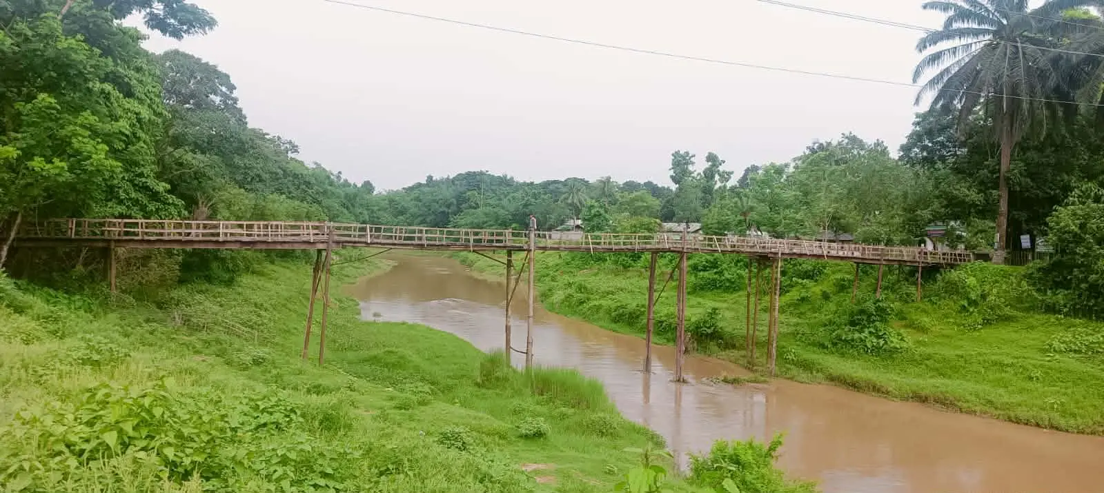 ৫৫ বছরেও সেতু নেই, টোলে সাঁকো পাড়ি ১০ গ্রামের মানুষ