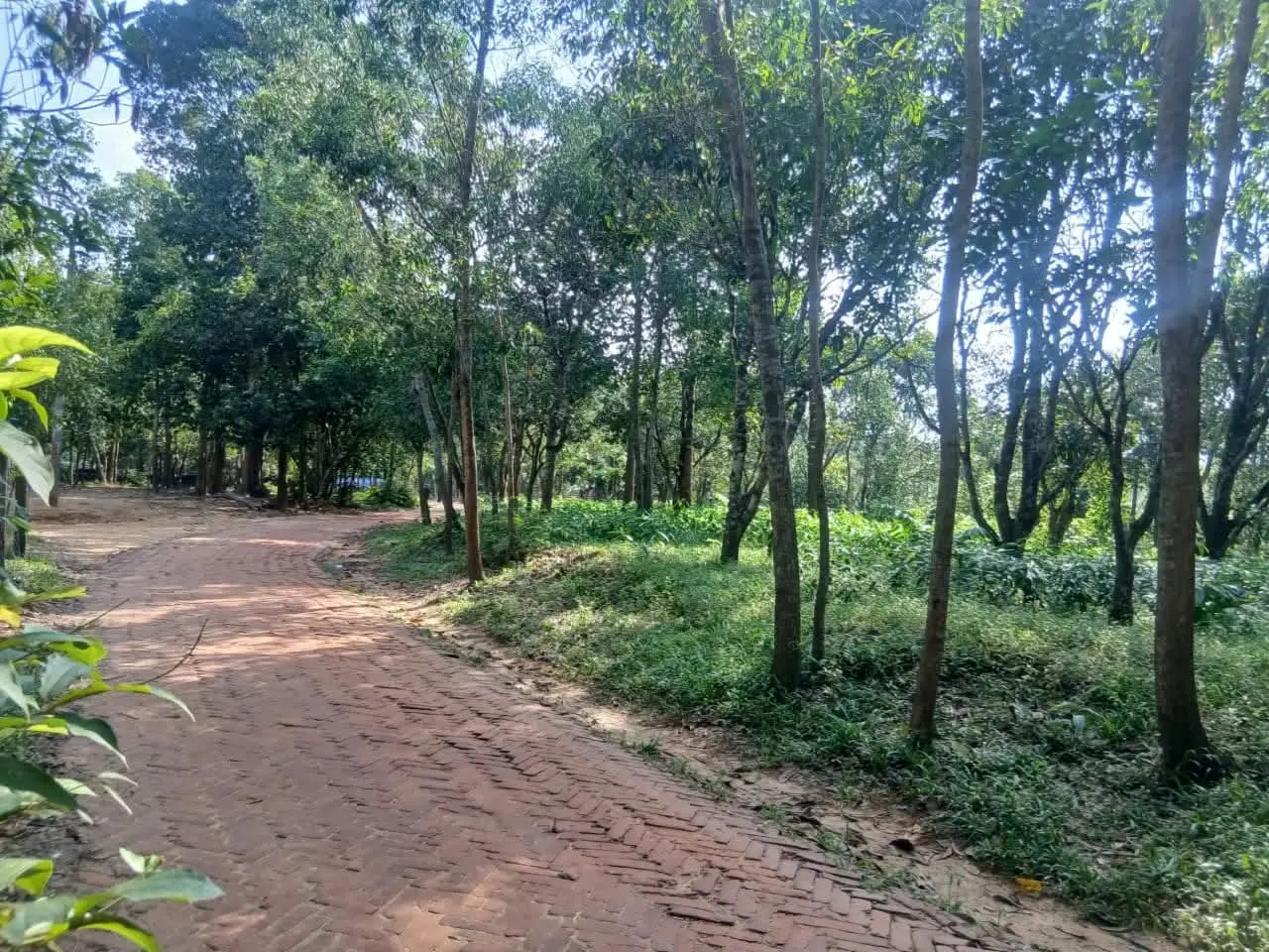 লামায় পৈতৃক সম্পত্তি জবরদখল ও অর্থ আত্মসাতের অভিযোগ বড় ভাইয়ের বিরুদ্ধে, দ্বারে দ্বারে ঘুরছেন ভুক্তভোগী নারী