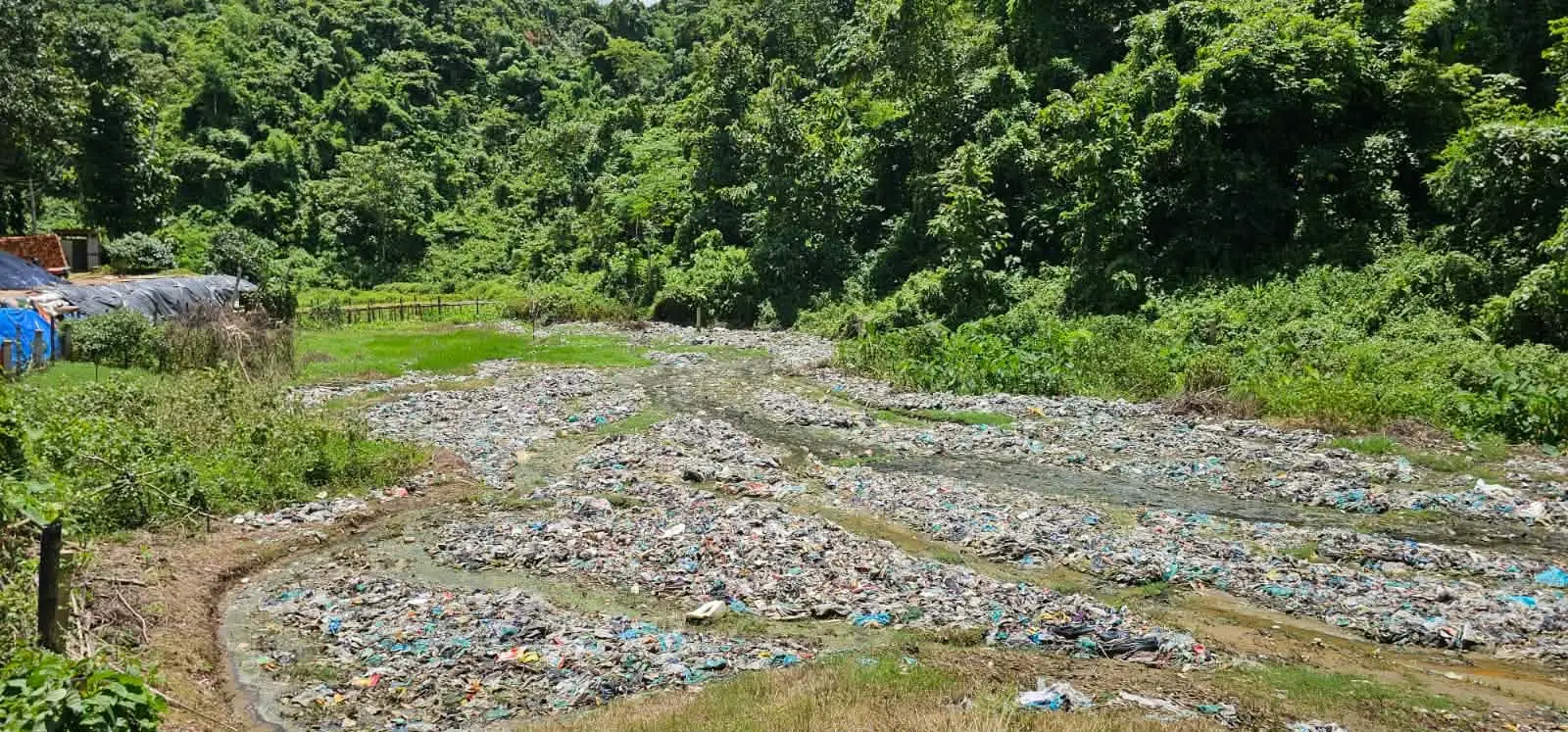 বান্দরবানে পৌর বর্জ্যের দখলে কৃষিজমি: বর্ষায় বাড়ছে দূষণ ও স্বাস্থ্যঝুঁকি