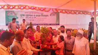 বান্দরবান কাঠ ব্যবসায়ী সমিতির উদ্যোগে রোয়াংছড়িতে বৃক্ষরোপণ ও চারা বিতরণ