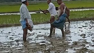খুটাখালীতে চাঁদা না দেওয়ায় আমন চাষে বাধা ও হামলা