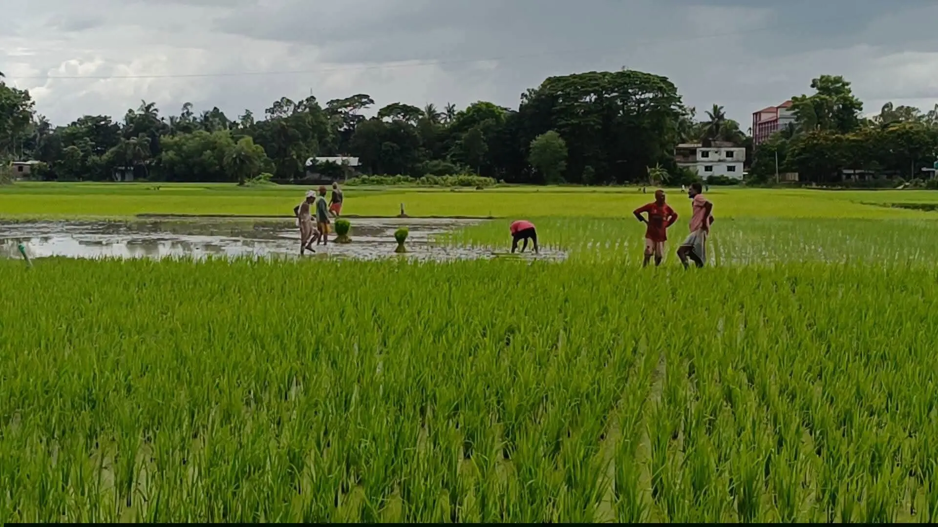 চকরিয়ায় পুলিশের উপস্থিতি টের পেয়ে জুতা ফেলে পালাল জবরদখলকারীরা