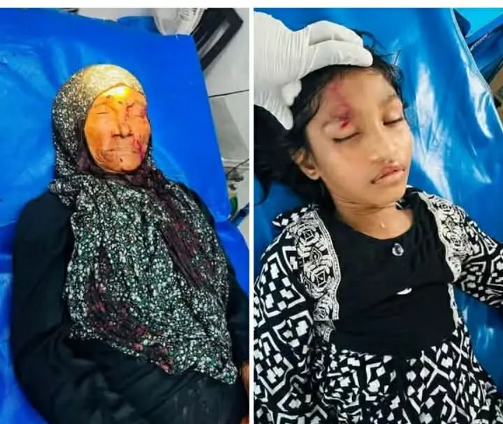 চকরিয়ায় বাসের ধাক্কায় বৃদ্ধা নিহত, শিশু গুরুতর আহত