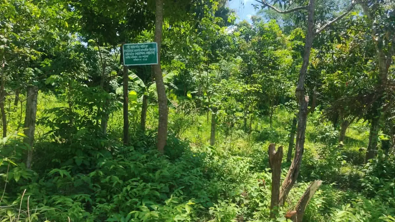 নাইক্ষ্যংছড়ির বাইশারীতে সভাপতি পদে হেরে বিদ্যালয়ের বিরুদ্ধে ষড়যন্ত্রের অভিযোগ