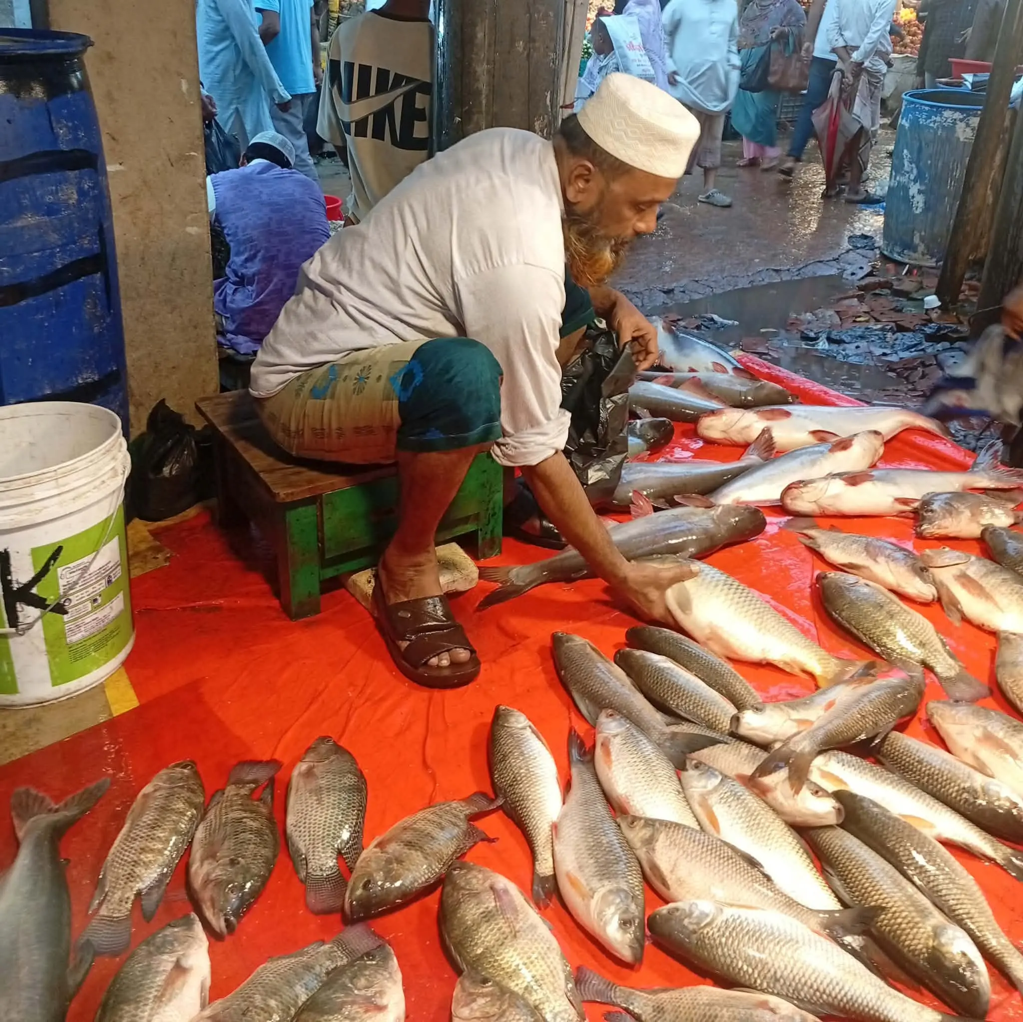 পটিয়ায় সবজির দাম কমলেও মাছের বাজার চড়া