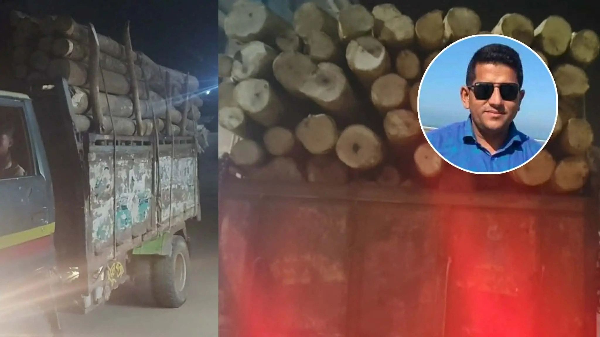 রাতের আঁধারে বন উজাড়: বিএনপি নেতার নেতৃত্বে কাঠ পাচারের অভিযোগ
