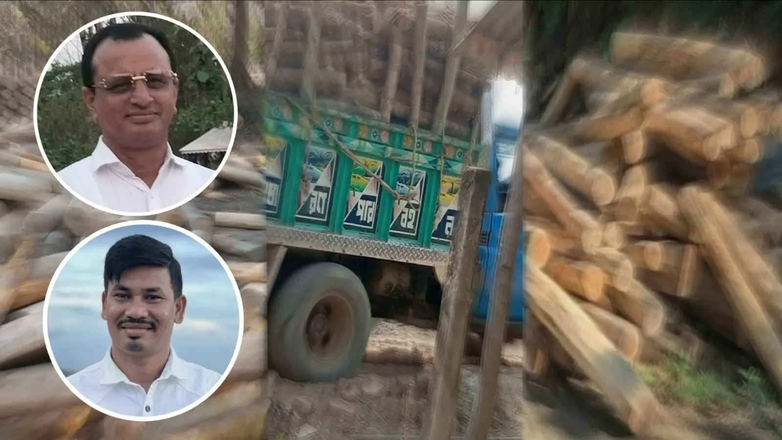 ধারাবাহিক পর্ব ১: রোয়াংছড়িতে বন উজাড়ের মহোৎসব: রেঞ্জ কর্মকর্তার ছত্রছায়ায় কমল তঞ্চঙ্গ্যার কাঠ পাচার সিন্ডিকেটের অভিযোগ