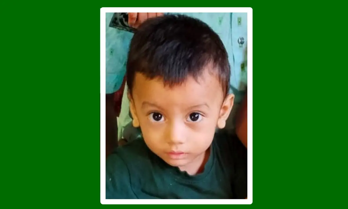 নানা বাড়িতে বেড়াতে এসে পুকুরে ডুবে প্রাণ গেল শিশুর