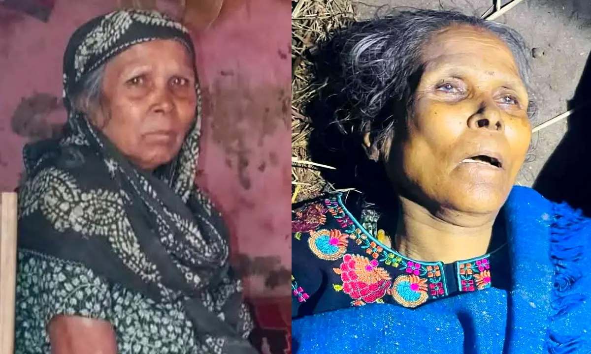 লোহাগাড়ায় পিকআপের ধাক্কায় বৃদ্ধার মৃত্যু