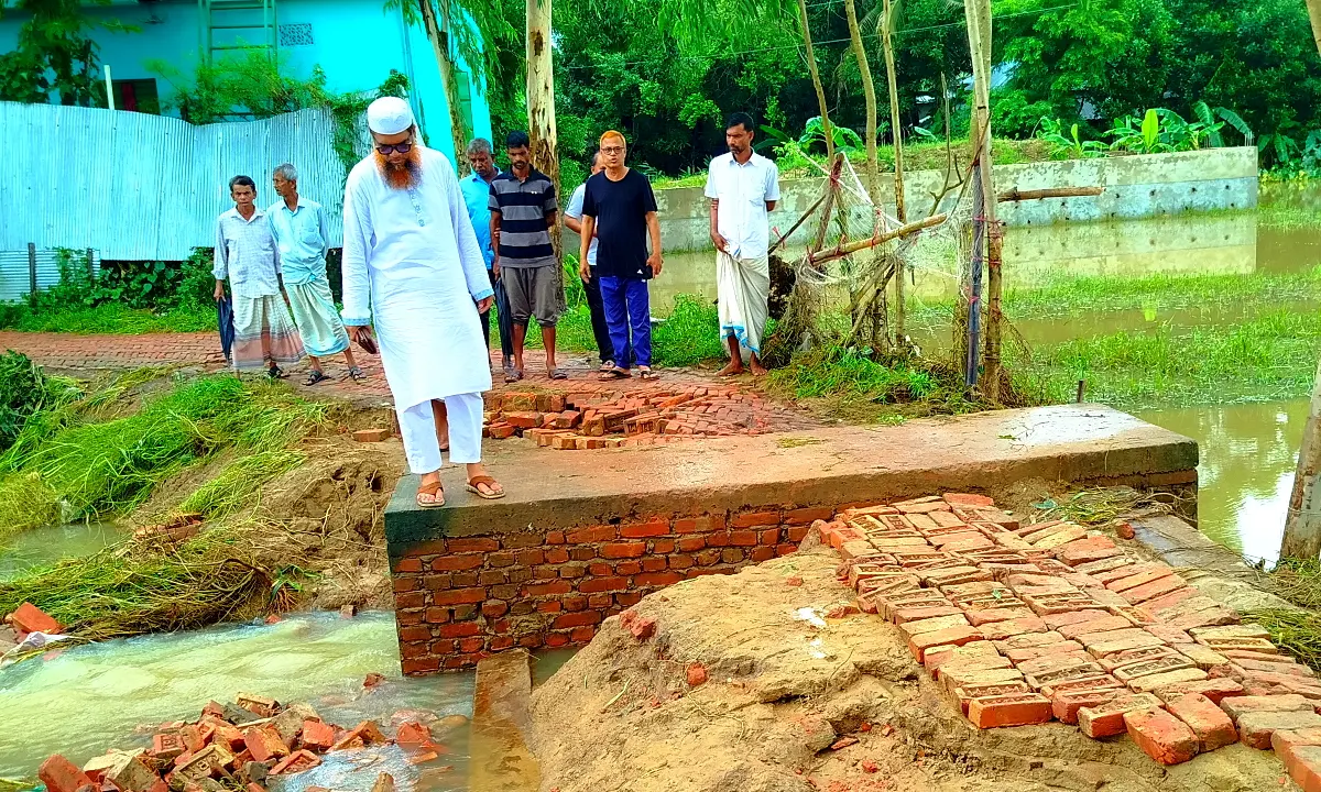 বন্যায় ক্ষতিগ্রস্ত মছদিয়া-সর্দানী পাড়ার বিকল্প সড়ক পরিদর্শনে চেয়ারম্যান নাজিম উদ্দিন