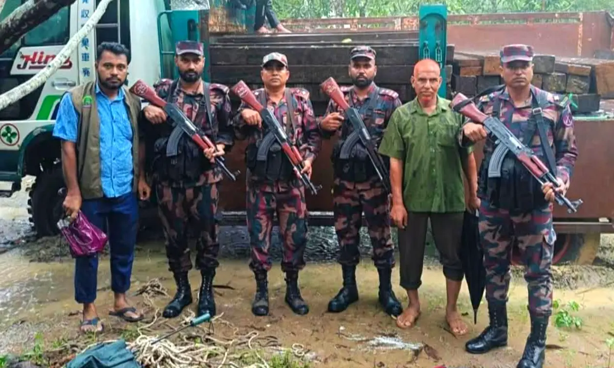 আলীকদমে বিজিবি ও বন বিভাগের যৌথ অভিযান: কাঠসহ ডাম্পার ট্রাক জব্দ