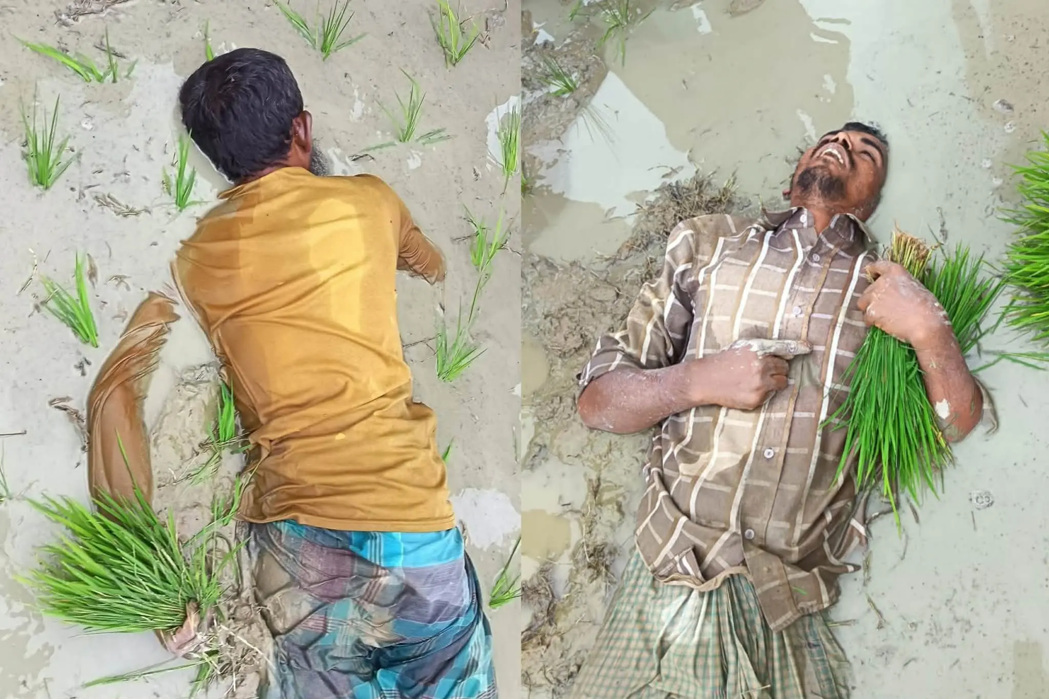 ফটিকছড়িতে বিদ্যুতের তারে জড়িয়ে দুই কৃষকের মর্মান্তিক মৃত্যু