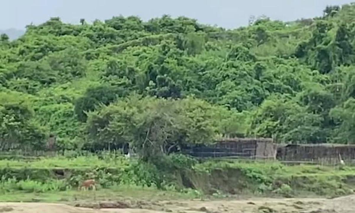 নাইক্ষ্যংছড়ি সীমান্তের বিপরীতে মিয়ানমার অভ্যন্তরে গোলাগুলি