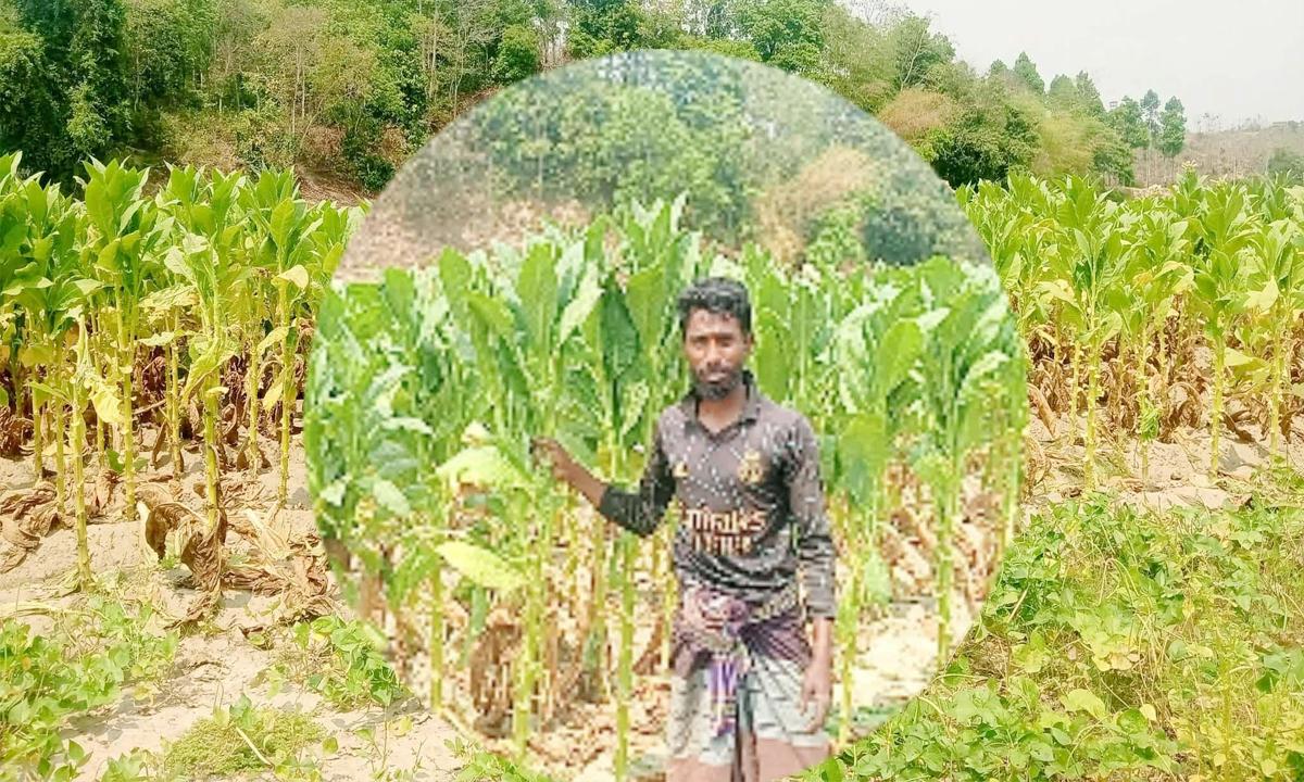 লামায় যুবদল নেতাকে পিটিয়ে হত্যা চেষ্টা