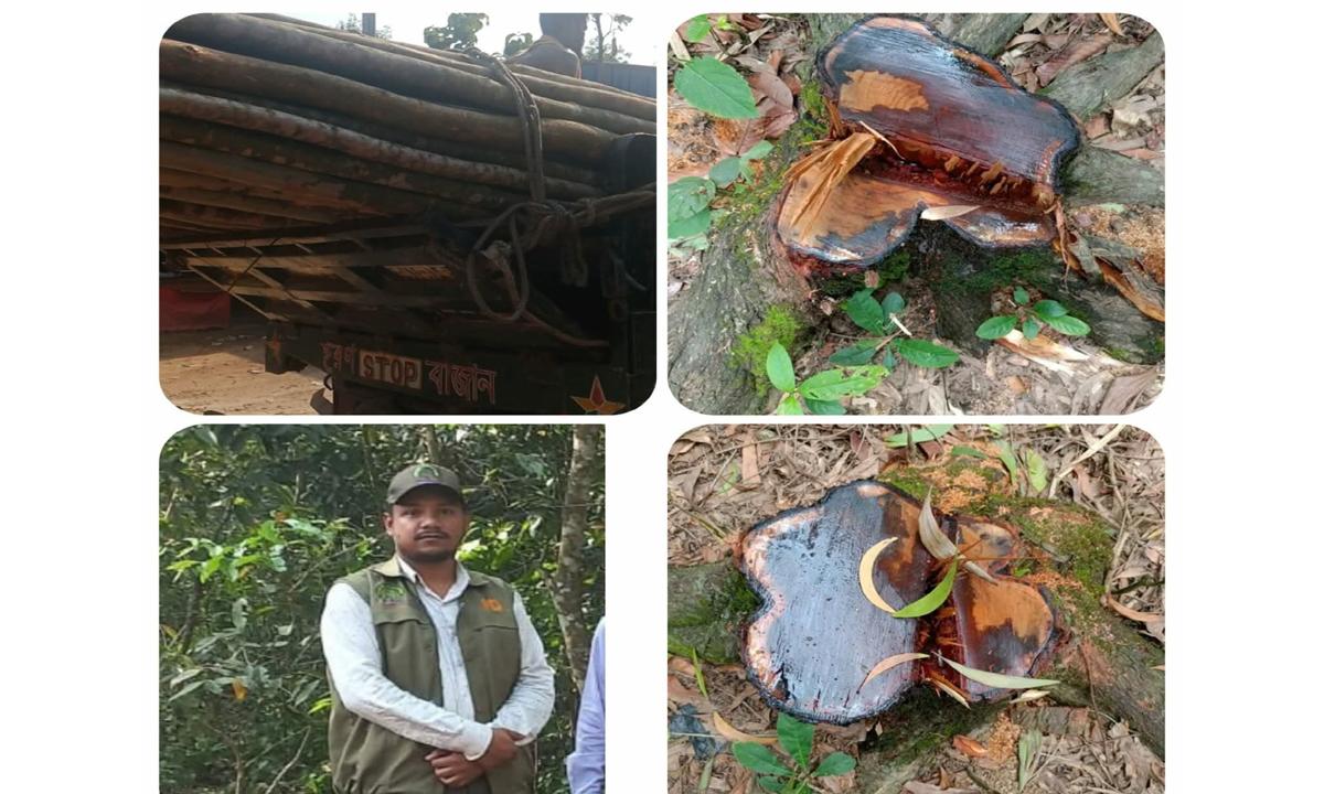অবৈধ বালু ও কাঠ পাচারের নিরাপদ জোন ডুলাহাজারা বনবিট!