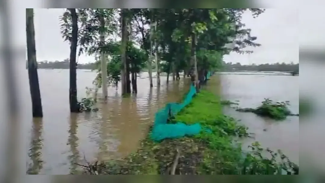 চট্টগ্রামে বন্যায় তলিয়ে গেল মাছের ঘের-পুকুর, মৎস্য খাতে বড় ধাক্কা