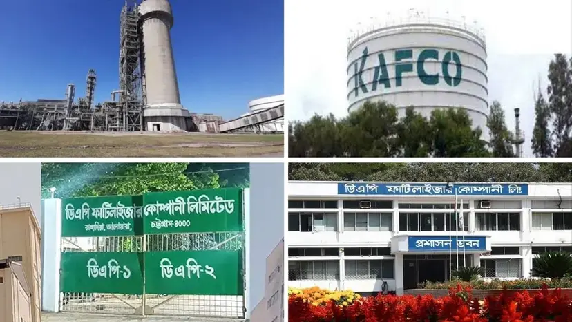 গ্যাস-কাঁচামাল সংকটে সার উৎপাদনে বড় ধাক্কা, আমনে সরবরাহ নিয়ে শঙ্কা