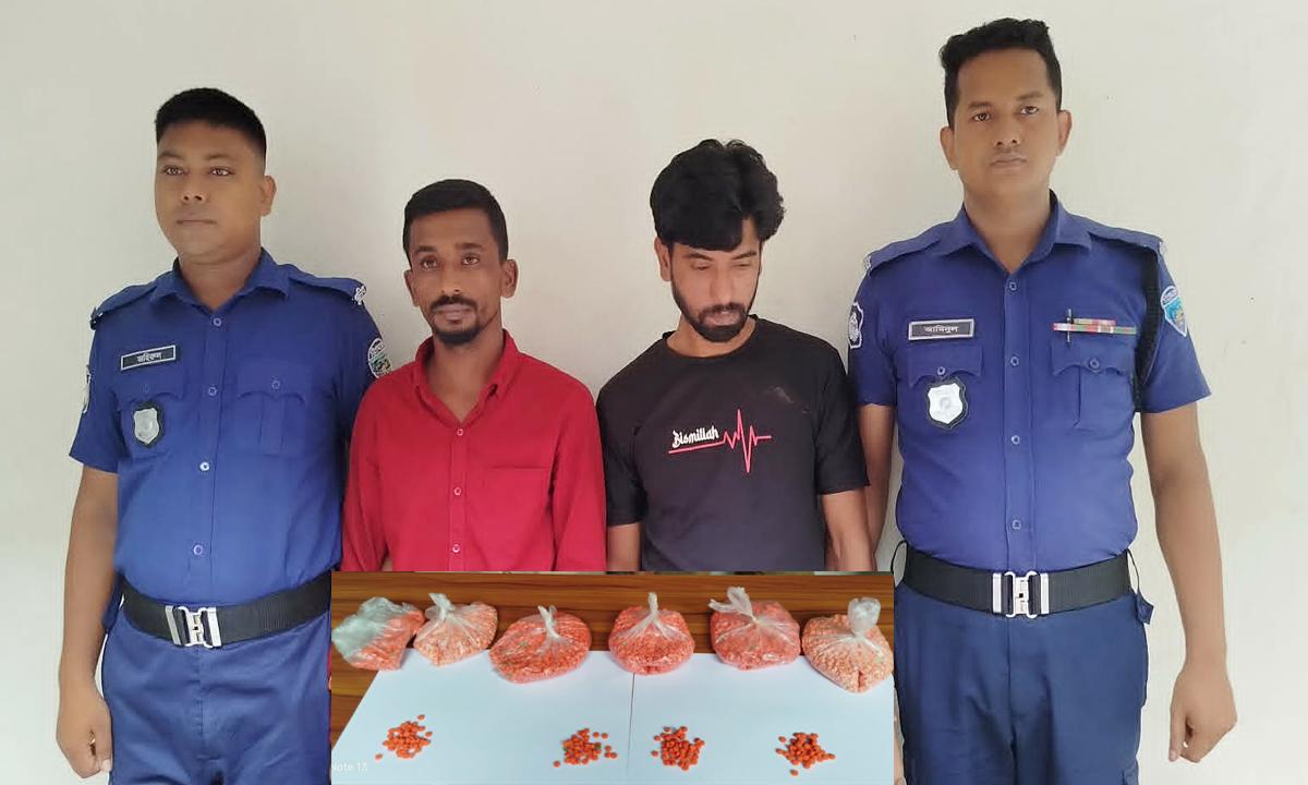 লোহাগাড়ায় ১০ হাজার পিস ইয়াবাসহ আটক ২, পিকআপ জব্দ