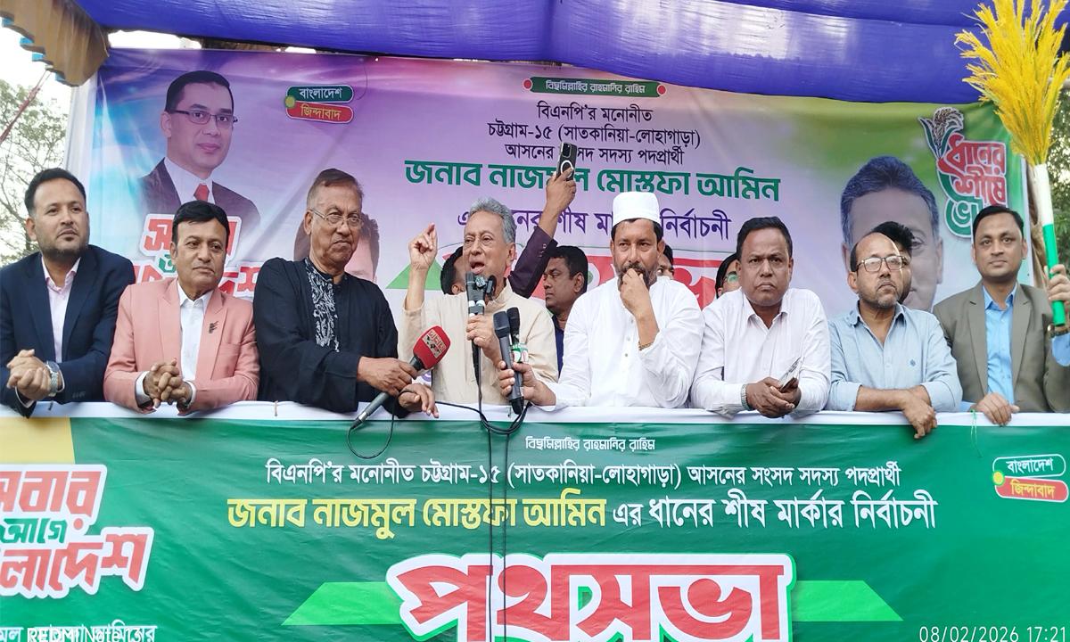 বিএনপি গণতন্ত্র ও উন্নয়নে বিশ্বাসী- বিএনপি নেতা আমীর খসরু