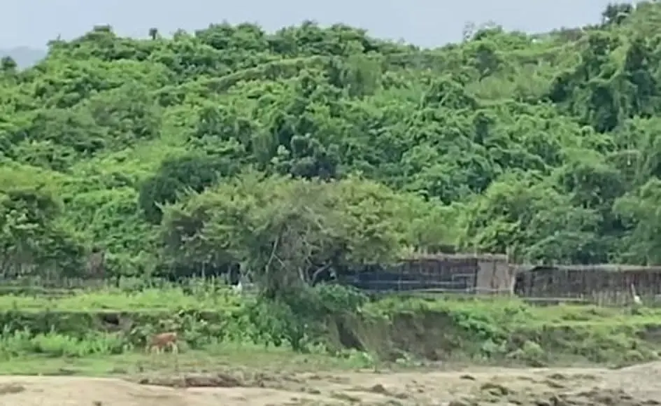 নাইক্ষ্যংছড়ির ৩৯ নং সীমান্ত পিলারের বিপরীত মিয়ানমার অংশ থেকে, এলো মর্টারশেল ও গোলাগুলির তুমুল শব্দ