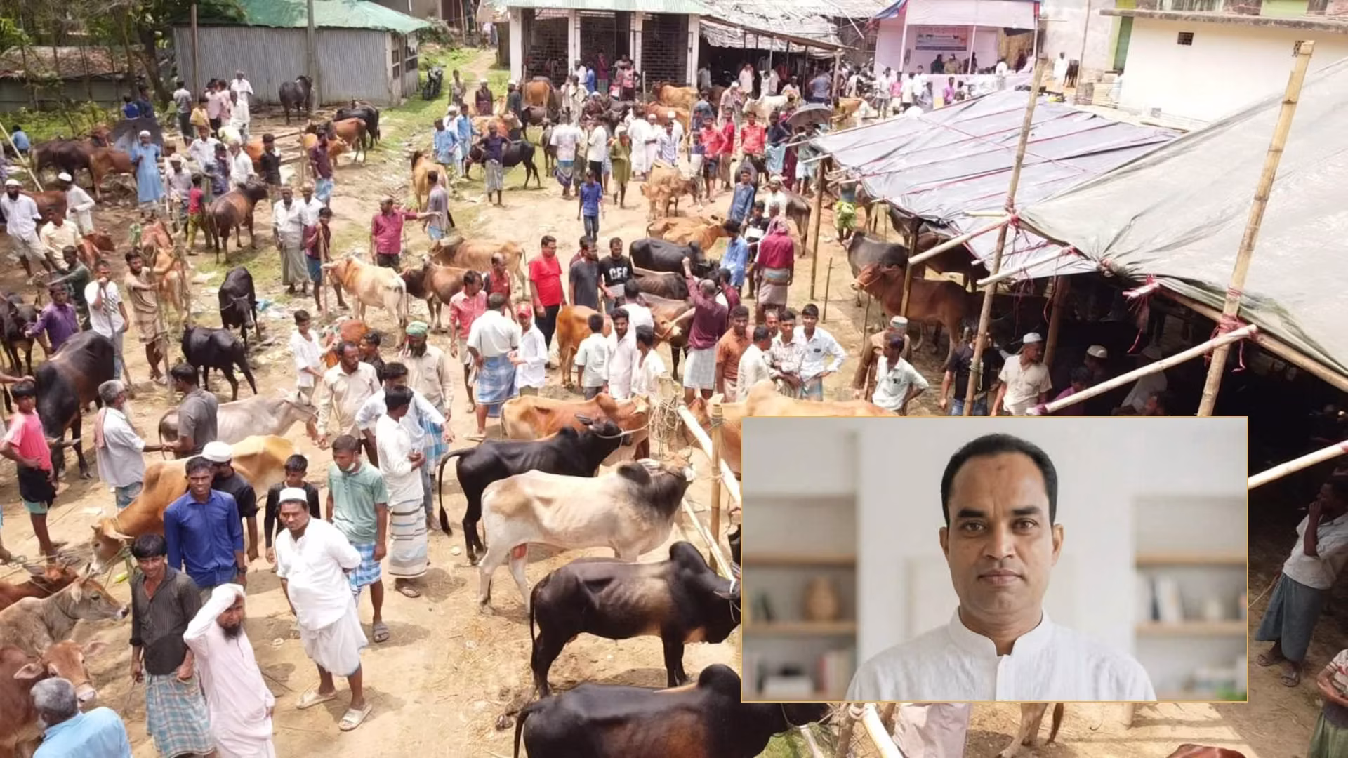 বান্দরবানের ঘুমধুমে যুবলীগ নেতার নেতৃত্বে প্রশাসনের নাকের ডগায় অবৈধ বার্মিজ গরুর হাট: গরুর সাথে মিয়ানমার থেকে আসছে ইয়াবার চালান