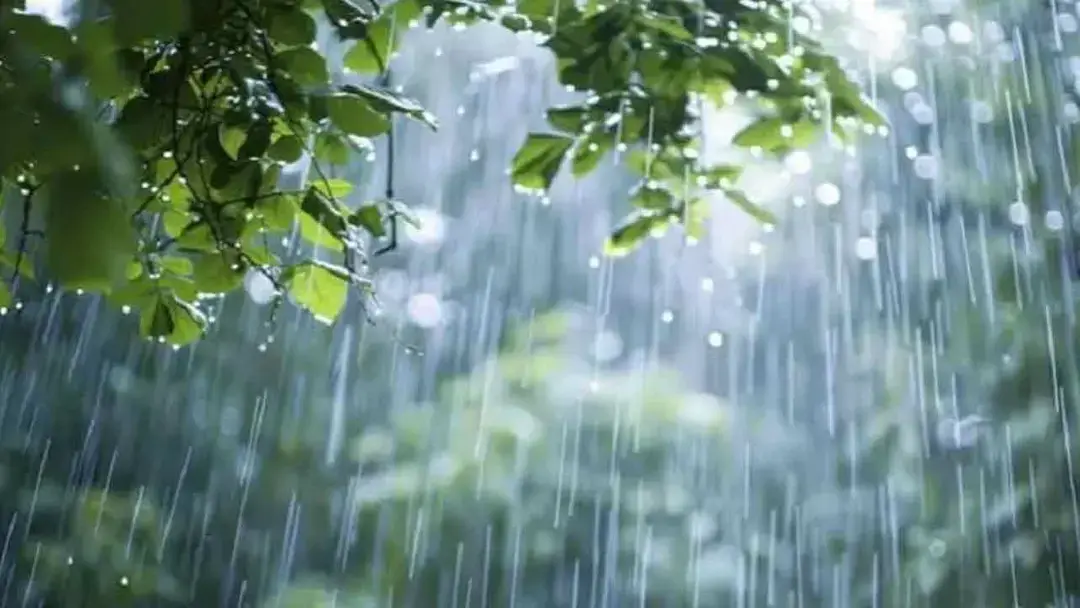আগামী ৫ দিন দেশজুড়ে বৃষ্টির আভাস
